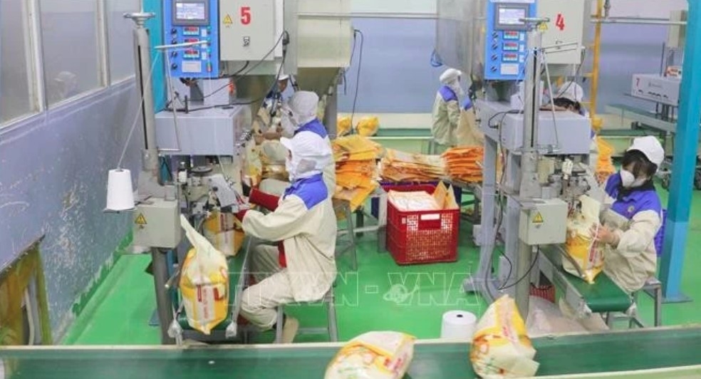 Vietnam among world’s most food-self-sufficient nations: study